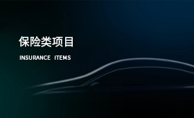 保險類項目案例